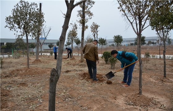 嵩陽(yáng)煤機(jī)植樹(shù)活動(dòng)